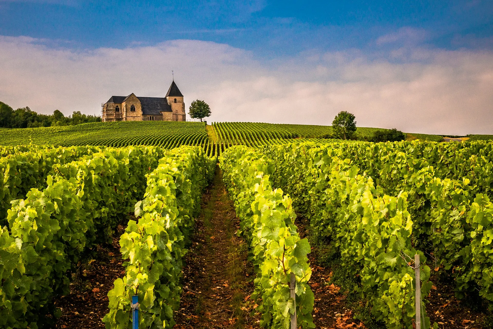 Slot for enden af en vinmark i Bordeaux