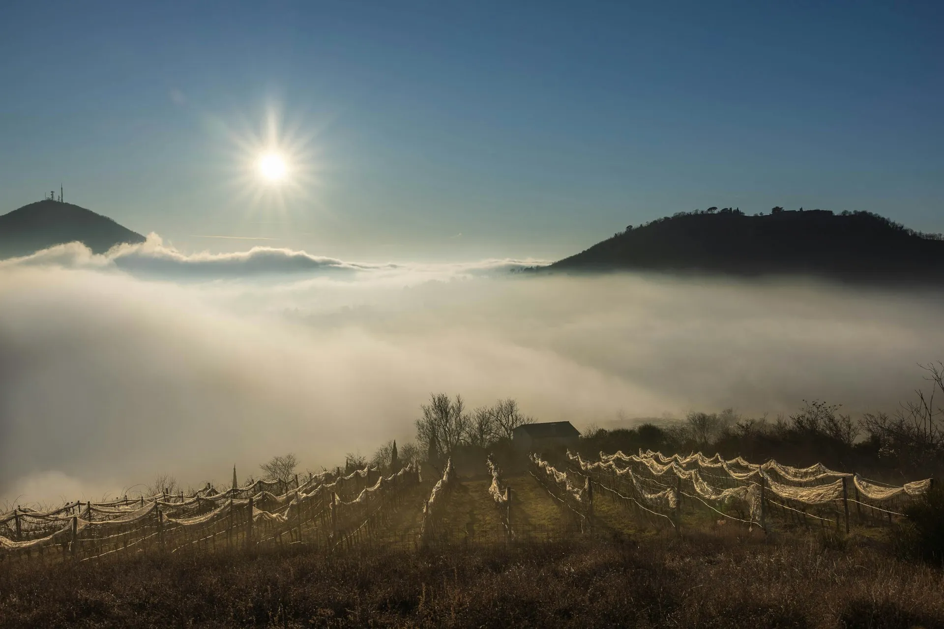 Tåge over bakkerne i Veneto